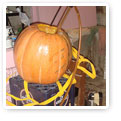 pumpkin brew